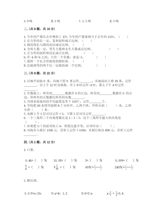 河南省平顶山市六年级下册数学期末考试试卷带答案（满分必刷）.docx