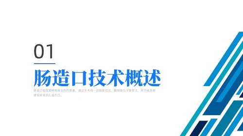 简约风线条风商务风肠造口护理医学护士培训PPT课件护理查房