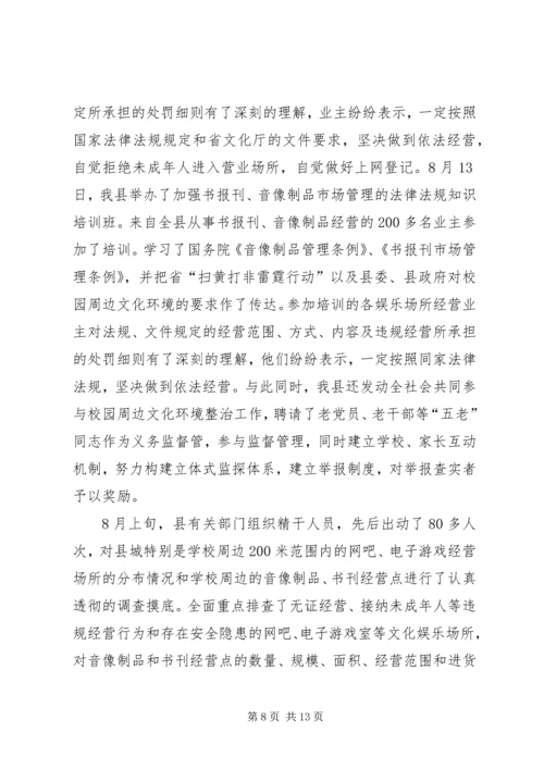 学校周边环境集中整治工作的情况汇报精编.docx