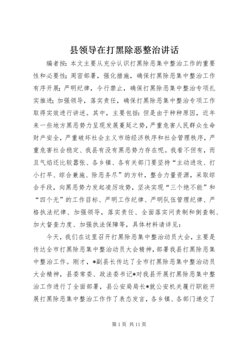 县领导在打黑除恶整治讲话.docx