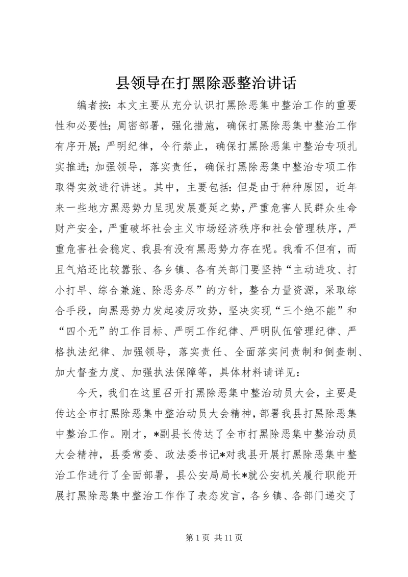 县领导在打黑除恶整治讲话.docx