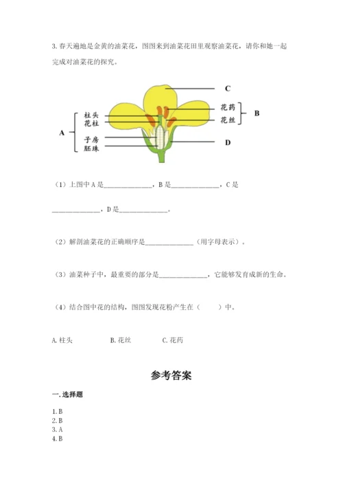 科学四年级下册第一单元植物的生长变化测试卷【有一套】.docx