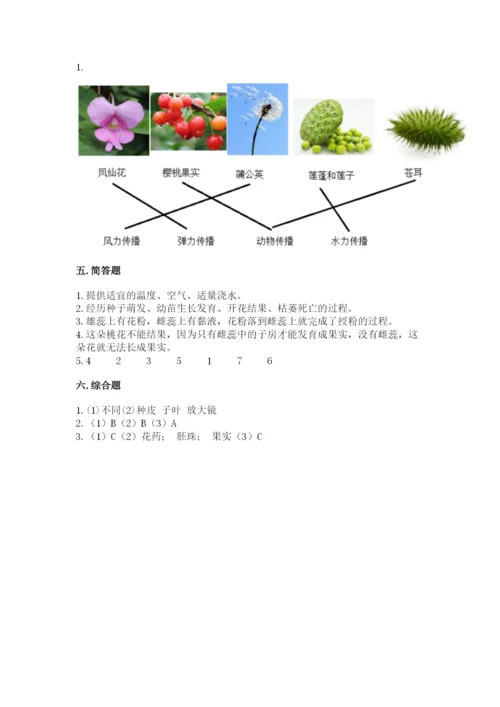 教科版科学四年级下册第一单元《植物的生长变化》测试卷【名校卷】.docx