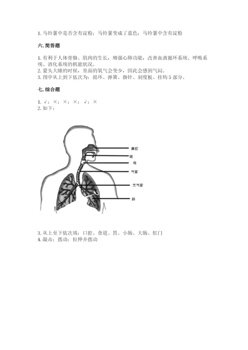 教科版四年级上册科学期末测试卷【网校专用】.docx