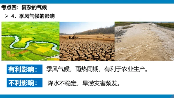 第六章 我们生活的大洲（课件38张）-2023-2024学年七年级地理下册期中复习（人教版）