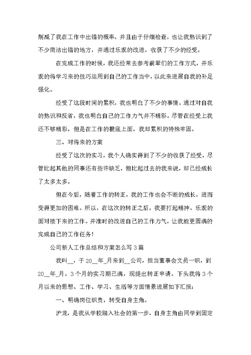 公司新人工作总结和方案怎么写3篇