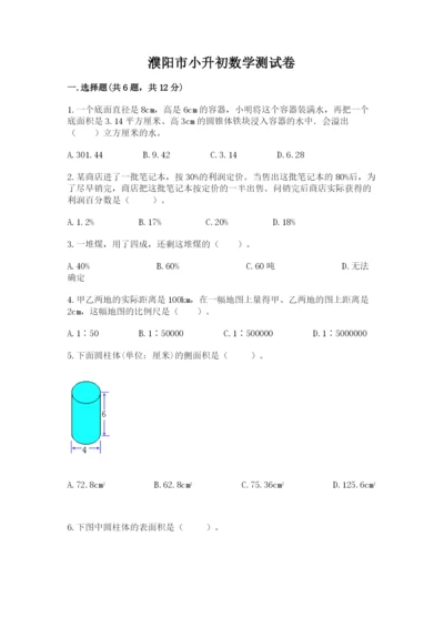 濮阳市小升初数学测试卷完整版.docx