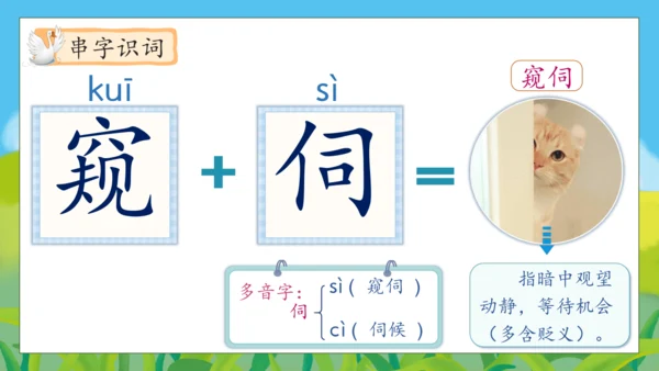 【核心素养】部编版语文四年级下册-15.白鹅 第1课时（课件）