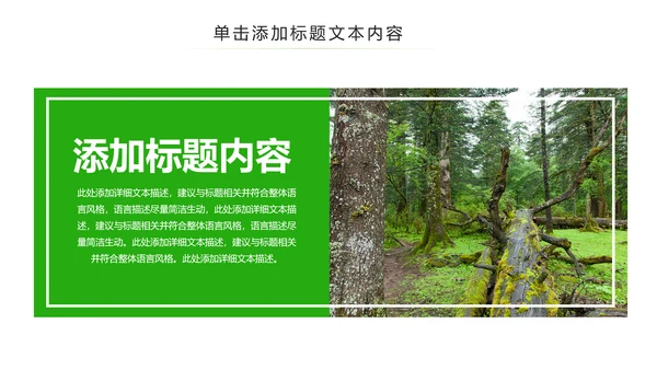 绿色环保森林湿地环境保护生态森林业PPT模板