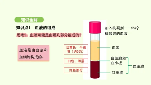 第四单元-第四章-第一节-流动的组织——血液课件-2024-2025学年七年级生物下学期人教版(20