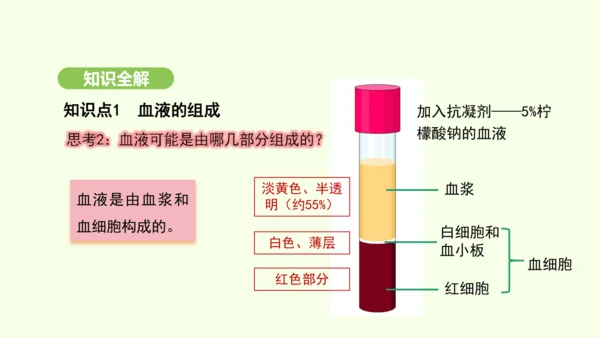 第四单元-第四章-第一节-流动的组织——血液课件-2024-2025学年七年级生物下学期人教版(20