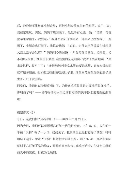 观察作文（精选6篇）作文