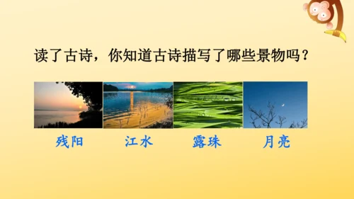 统编版语文2024-2025学年四年级上册9 古诗三首   课件
