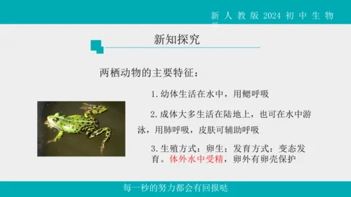 人教版生物七年级上册2.2.2《脊椎动物》（第1课时）课件(共42张PPT)+视频素材