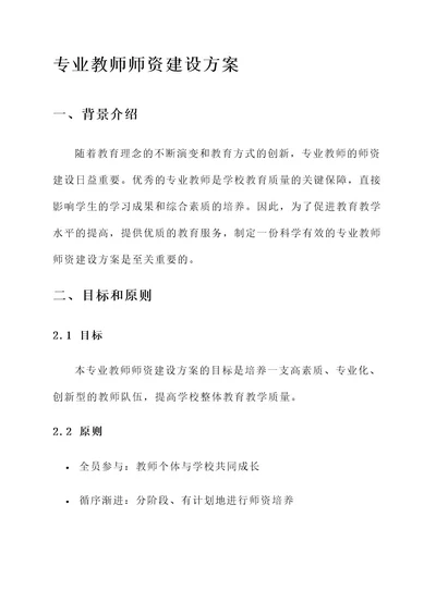 专业教师师资建设方案