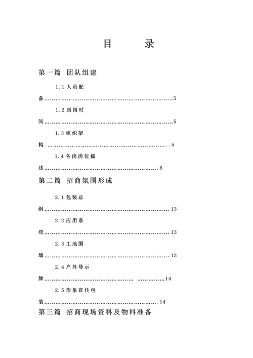 地产商业招商专题方案.docx