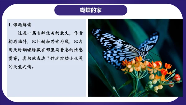 统编版语文四年级上册第二单元（复习课件）