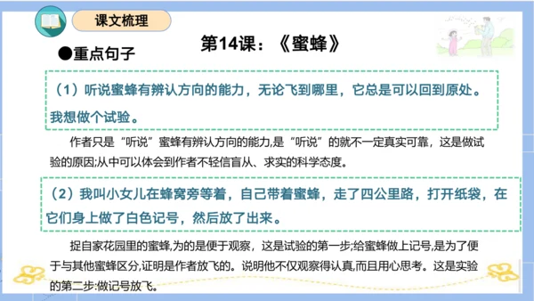 统编版三年级语文下册同步高效课堂系列第四单元（复习课件）