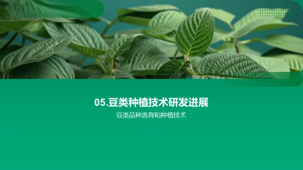 豆类智慧种植新纪元