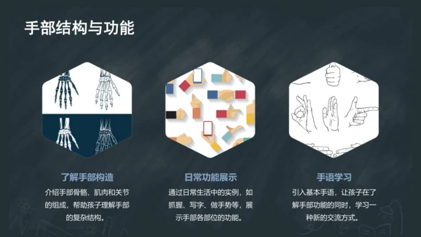 3《口耳目手足》课件