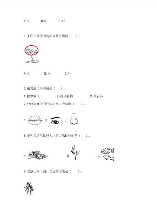 教科版科学一年级上册期末测试卷附参考答案培优b卷