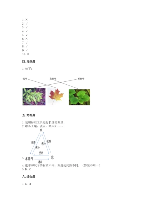 教科版一年级上册科学期末测试卷及参考答案【培优a卷】.docx