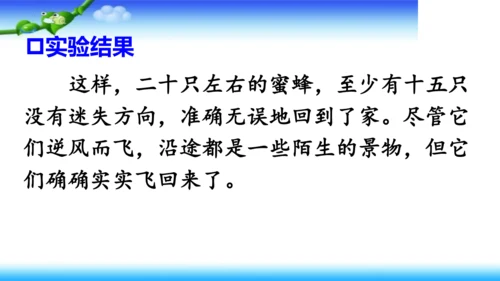 14《蜜蜂》课件