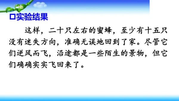 14《蜜蜂》课件