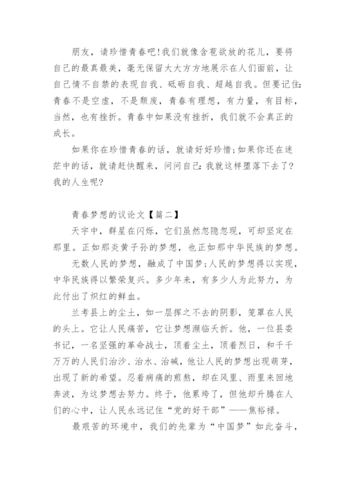 青春梦想的议论文.docx