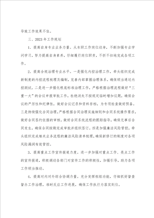 合规和内控管理个人工作总结