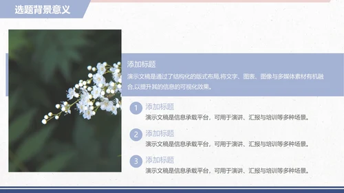 小清新论文开题毕业答辩PPT模板