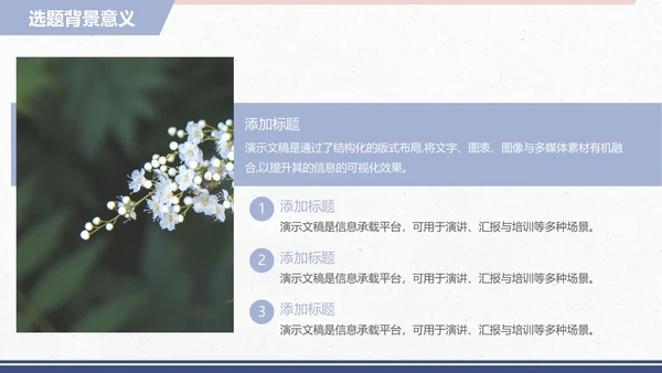 小清新论文开题毕业答辩PPT模板