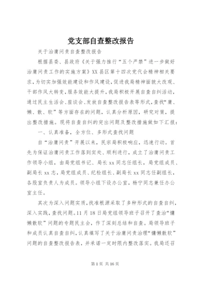 党支部自查整改报告 (2).docx