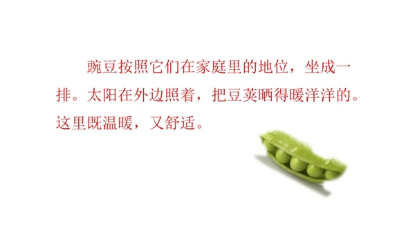 5《一个豆荚里的五粒豆》  课件