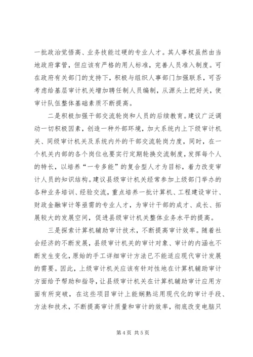 县级审计工作可持续发展调研报告.docx