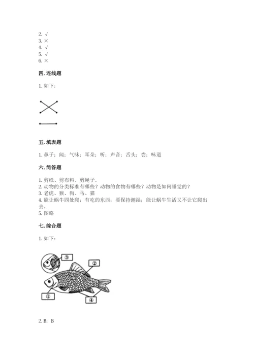 教科版一年级下册科学期末测试卷【各地真题】.docx