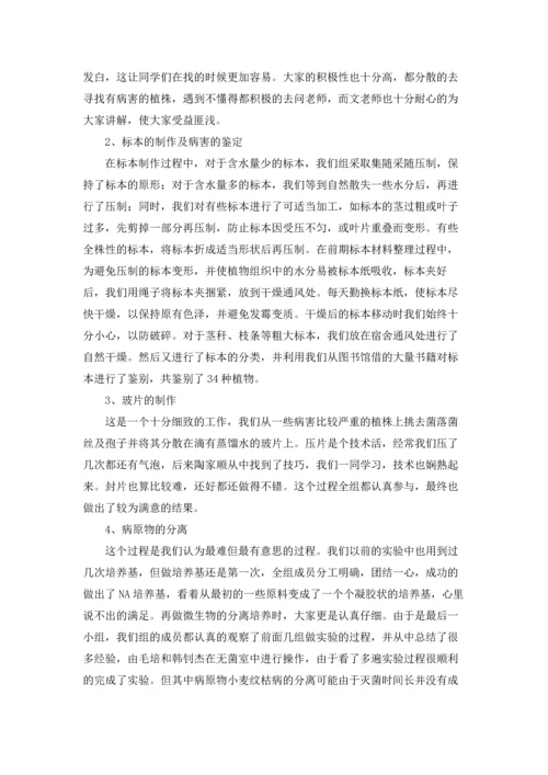 植物学实习报告模板汇编八篇.docx