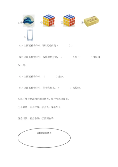 教科版一年级下册科学期末测试卷及参考答案【培优a卷】.docx