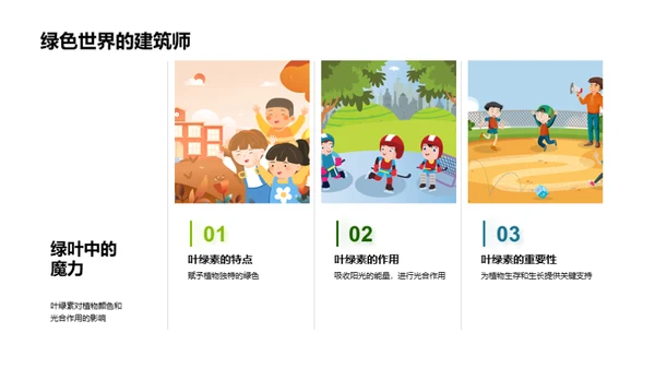 揭秘绿色之源