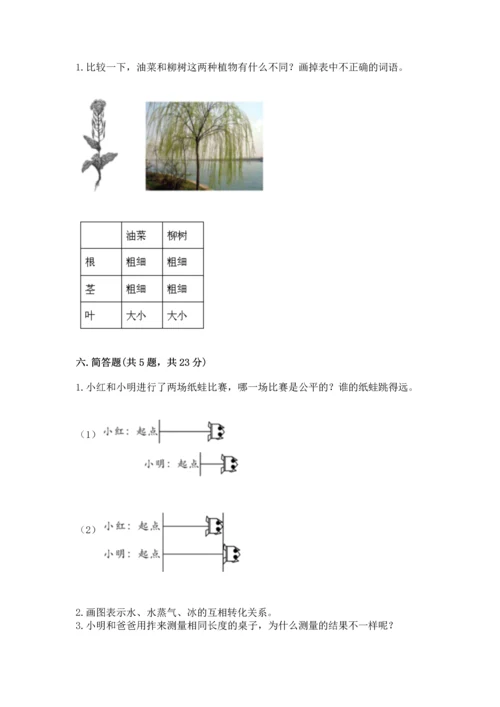 教科版小学一年级上册科学期末测试卷精品（巩固）.docx