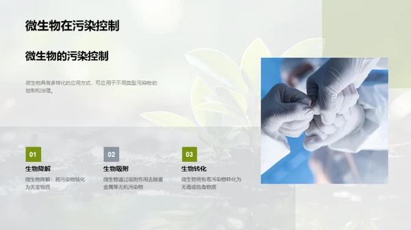环保中的微生物应用