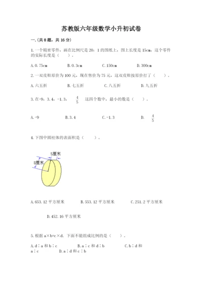 苏教版六年级数学小升初试卷含完整答案【考点梳理】.docx