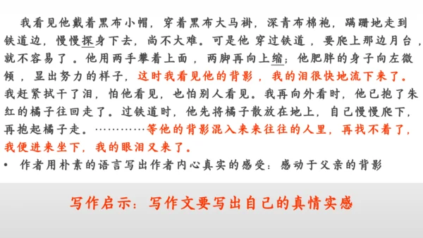 14 背影 课件