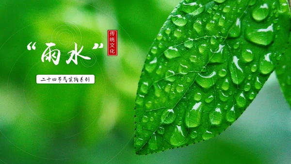 春天雨水绿叶晨露二十四节气通用PPT课件
