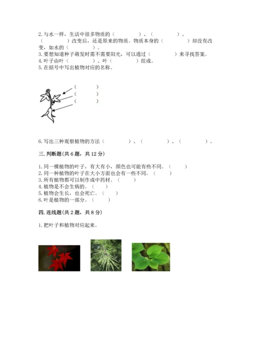 教科版科学一年级上册第一单元《植物》测试卷附完整答案【精选题】.docx