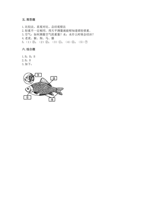 教科版一年级下册科学期末测试卷附完整答案【历年真题】.docx