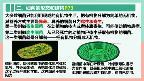 5.4.2  细菌  课件-人教版生物八年级上册(共39张PPT)