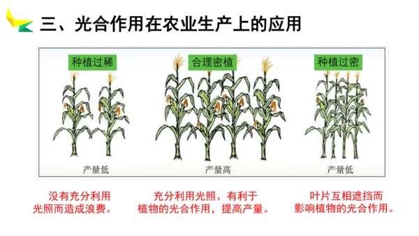 3.5.1 光合作用吸收二氧化碳释放氧气2023-2024学年七年级生物上册精品教学课件（人教版）(