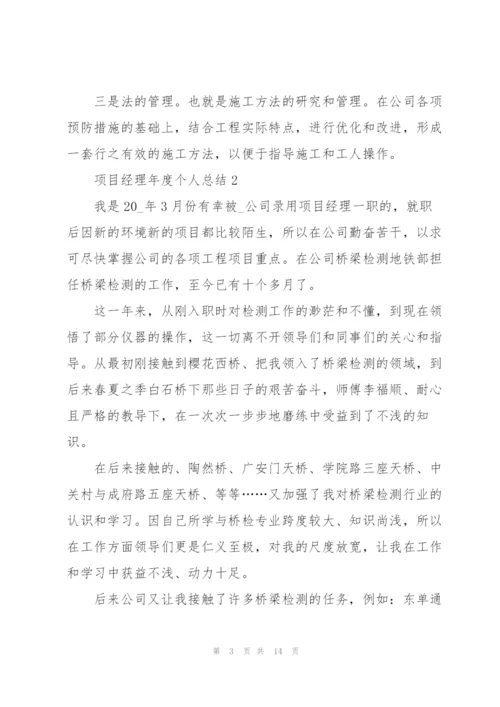 项目经理年度个人总结5篇.docx