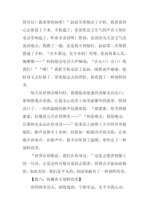 别样的美作文.docx
